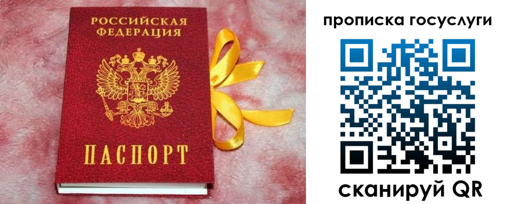 прописка законно в Димитровграде