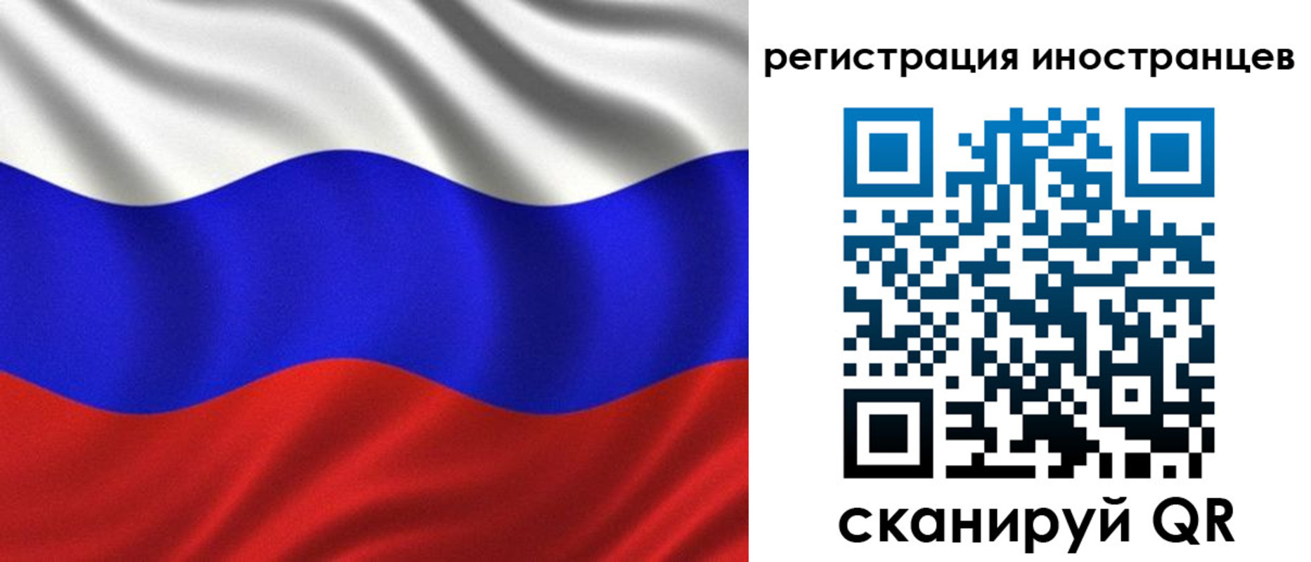 временная регистрация адрес в Димитровграде